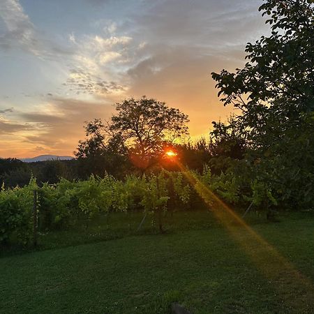 Lind Fruchtreich Lägenhet Sebersdorf Exteriör bild