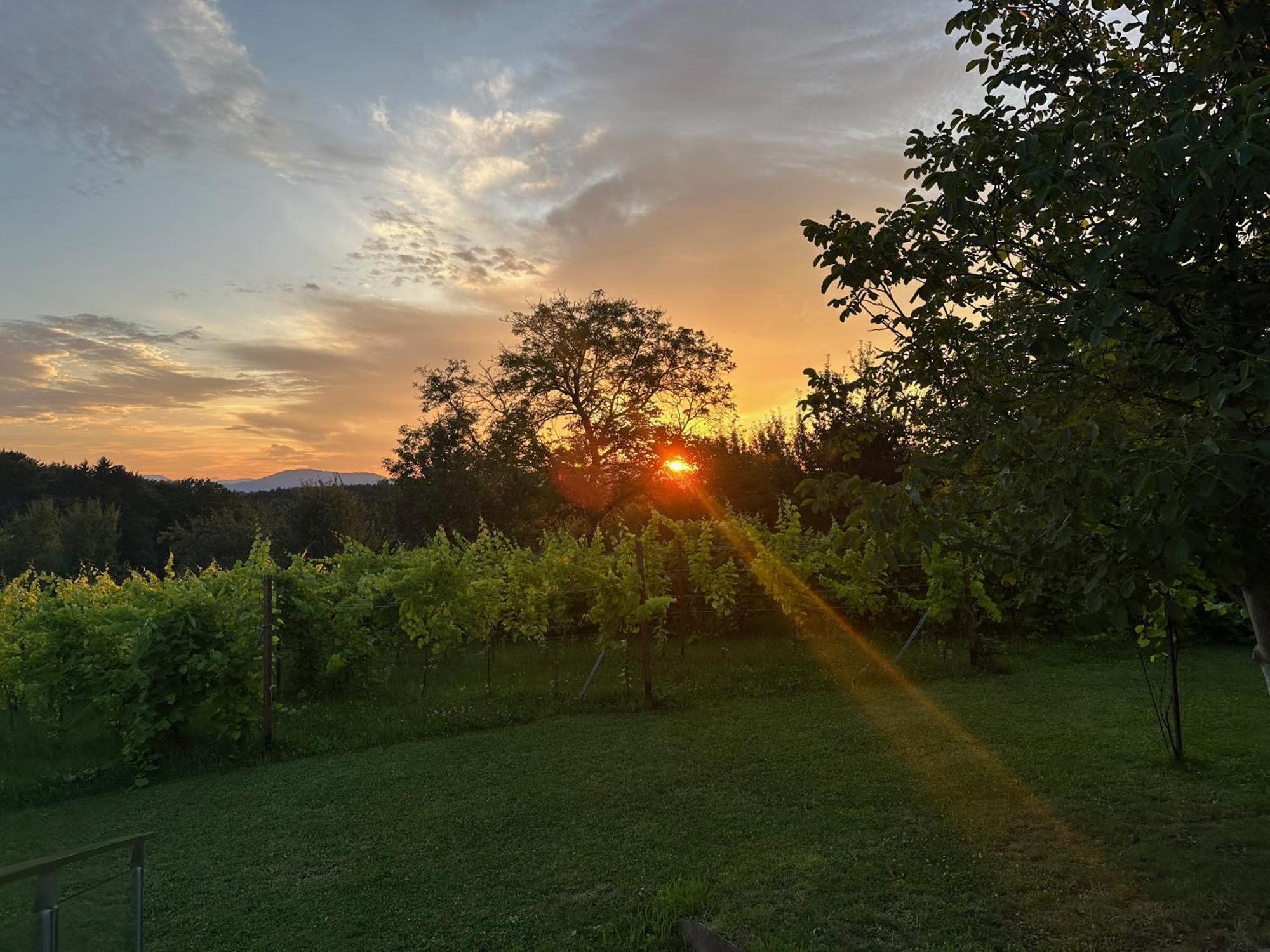 Lind Fruchtreich Lägenhet Sebersdorf Exteriör bild